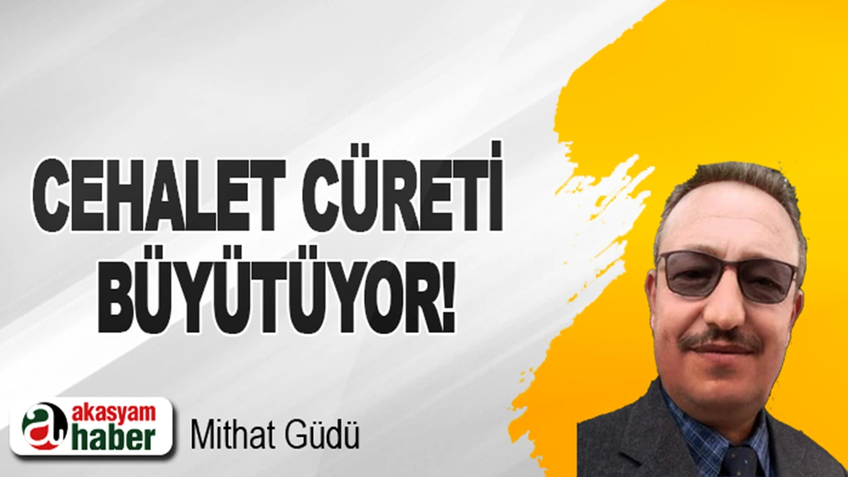 Cehalet cüreti büyütüyor!