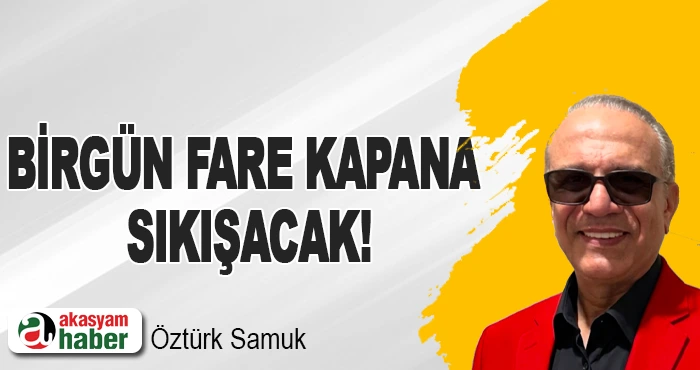 Birgün fare kapana sıkışacak!