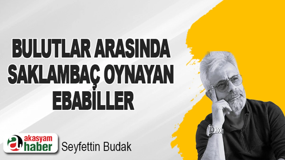 Bulutlar Arasında Saklambaç Oynayan Ebabiller