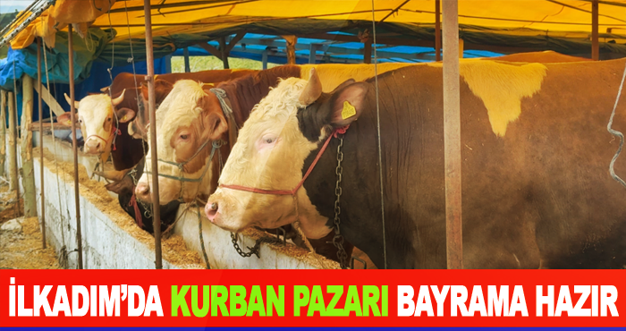 İlkadım’da Kurban Pazarı Bayrama Hazır