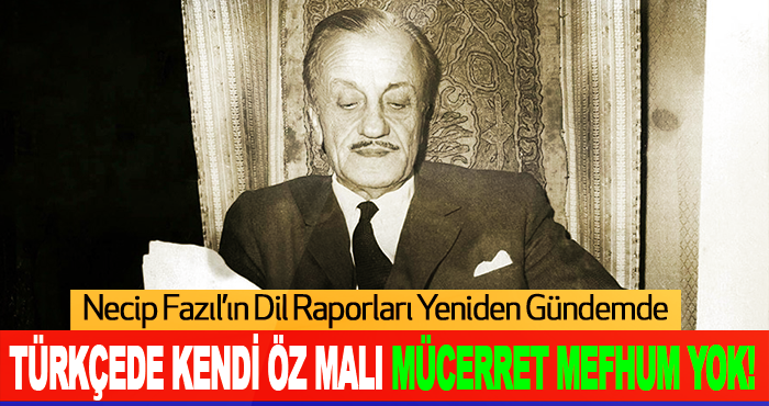 Türkçede Kendi Öz Malı Mücerret Mefhum Yok!