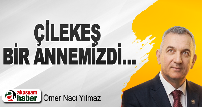 Çilekeş Bir Annemizdi…