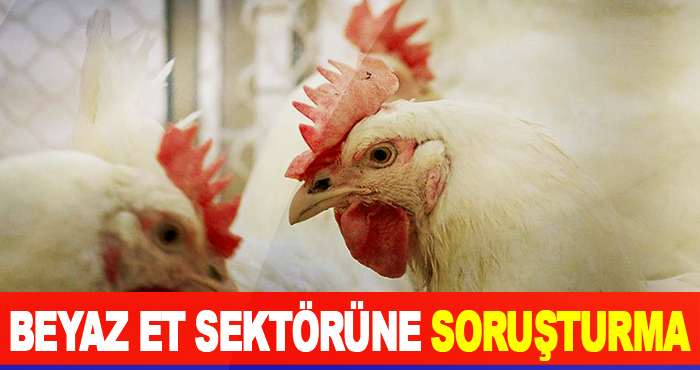 Beyaz Et Sektörüne Soruşturma