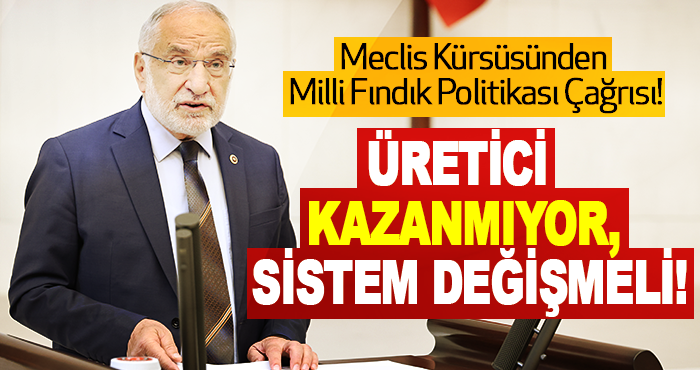 Meclis Kürsüsünden Milli Fındık Politikası Çağrısı!