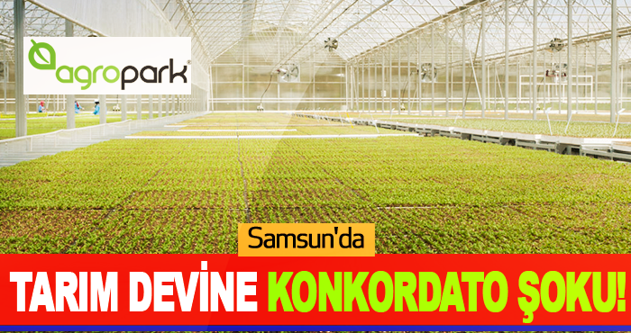 Samsun'da Tarım Devine Konkordato Şoku!