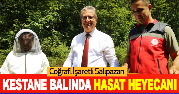 Coğrafi İşaretli Salıpazarı Kestane Balında Hasat Heyecanı