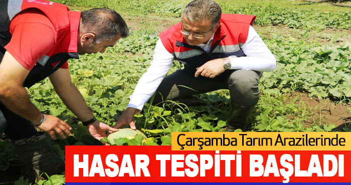 Çarşamba Tarım Arazilerinde Hasar Tespiti Başladı