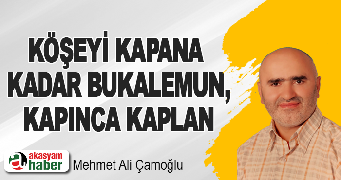 Köşeyi Kapana Kadar Bukalemun, Kapınca Kaplan