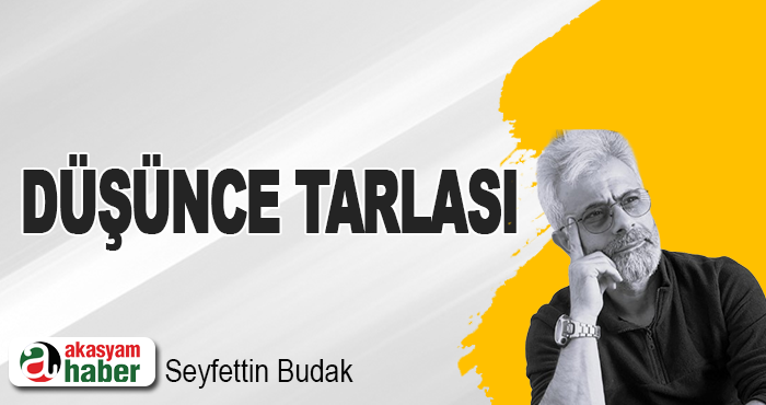 Düşünce Tarlası