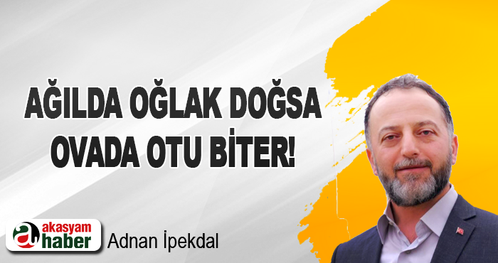 Ağılda oğlak doğsa, ovada otu biter!