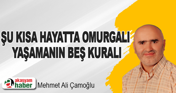 Şu Kısa Hayatta Omurgalı Yaşamanın Beş Kuralı